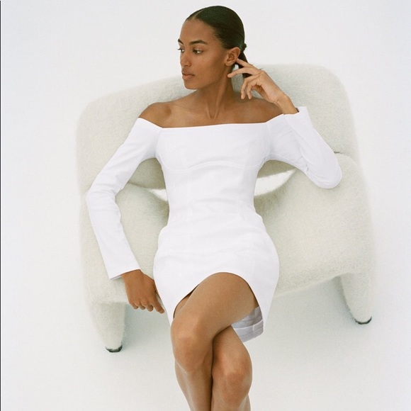 Zara Dresses | Nwt Zara Fitted Dress 